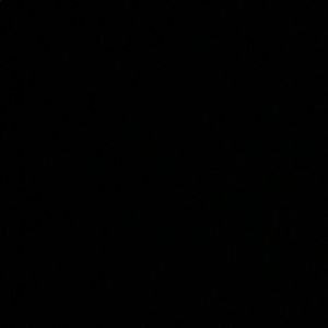 Meet your Posher, Perry